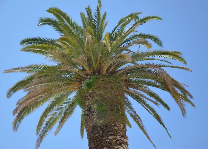 Apartments Dida * Split