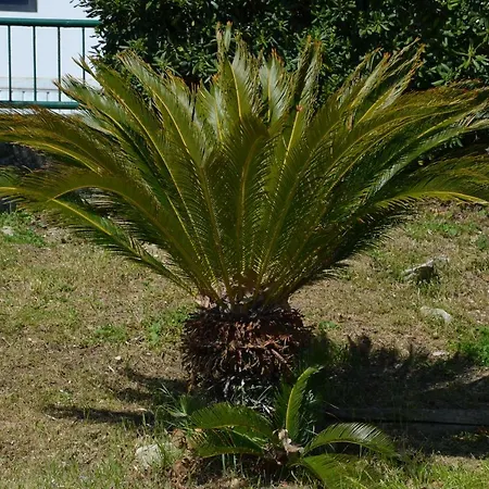 Apartments Dida Apartman Split