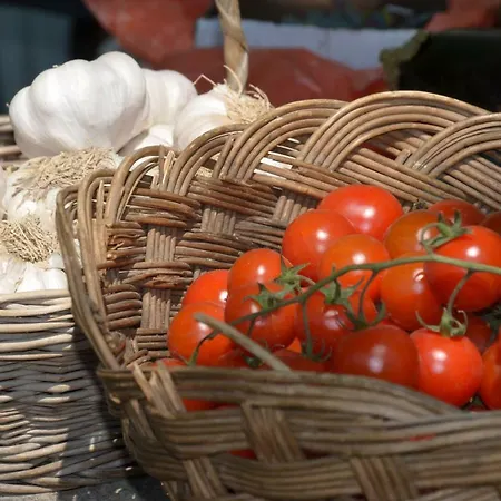 Apartments Dida * Split