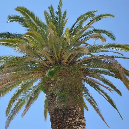 Apartments Dida * Split