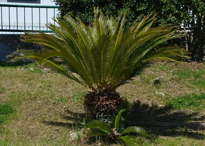 Apartments Dida Appartement Split