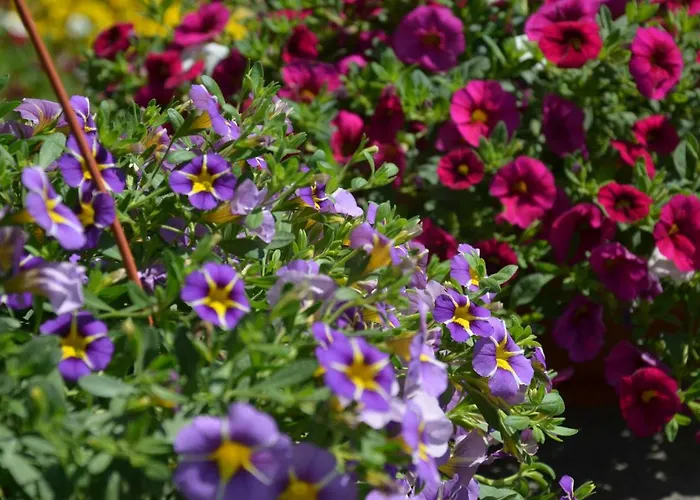 Appartement Apartments Dida Split